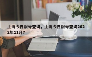 上海今日限号查询，上海今日限号查询2022年11月？