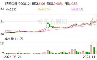 3天2板陕西金叶：公司实控人袁汉源近来
因相关事项被公安机关指定居所监视居住