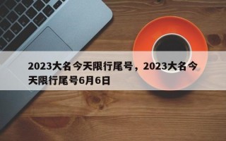 2023大名今天限行尾号，2023大名今天限行尾号6月6日