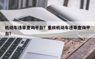 机动车违章查询平台？重庆机动车违章查询平台？