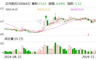 正丹股份：终止2024年度向特定对象发行**事项