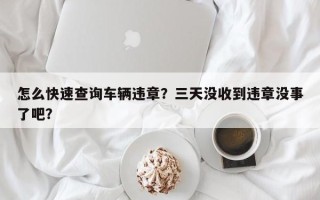 怎么快速查询车辆违章？三天没收到违章没事了吧？