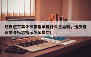 违反进京禁令标志指示是什么意思啊，违反进京禁令标志指示怎么处罚！