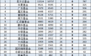 红塔红土基金2024二季度非货排名骤降20名，公司总经理为杨洁