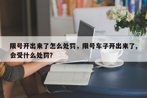 限号开出来了怎么处罚，限号车子开出来了,会受什么处罚？-第1张图片-静柔生活网