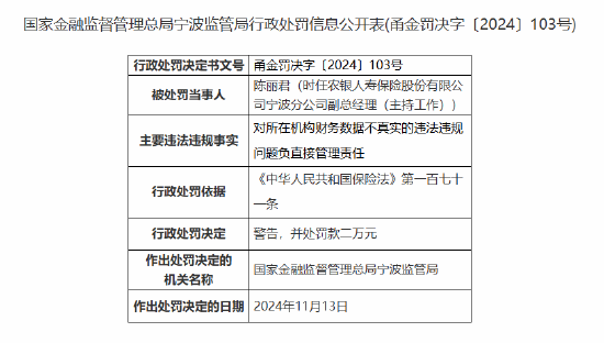 农银人寿宁波分公司因财务数据不真实被罚12万元-第2张图片-静柔生活网