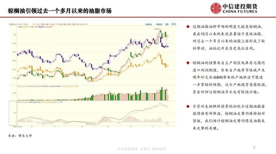 【月度策略】生物燃料前景担忧施压油脂，关注印尼棕榈油卖货情况-第4张图片-静柔生活网