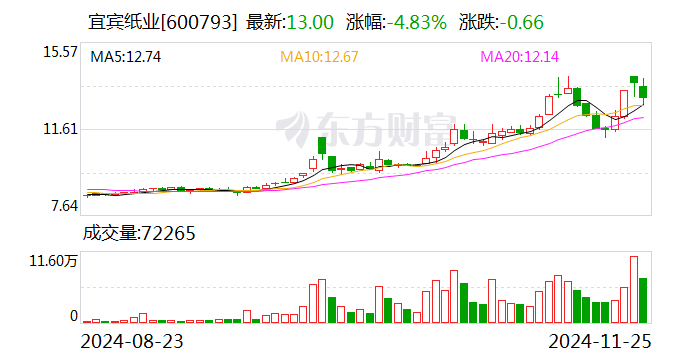 宜宾纸业：子公司拟投建两项目 项目总投资合计5.4亿元-第1张图片-静柔生活网