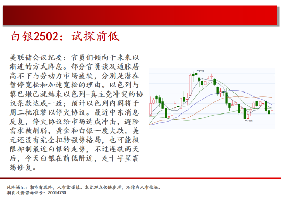 中天期货:白银试探前低 生猪底部大震荡-第5张图片-静柔生活网