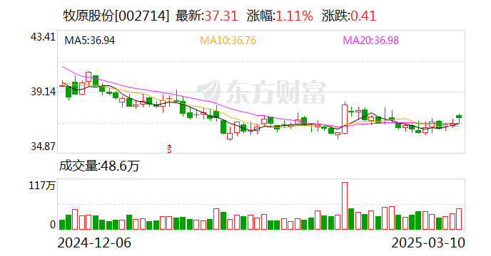 牧原股份：截至2024年三季度末，公司货币资金余额为193.25亿元-第1张图片-静柔生活网